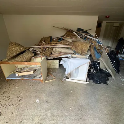 Full Property Cleanouts